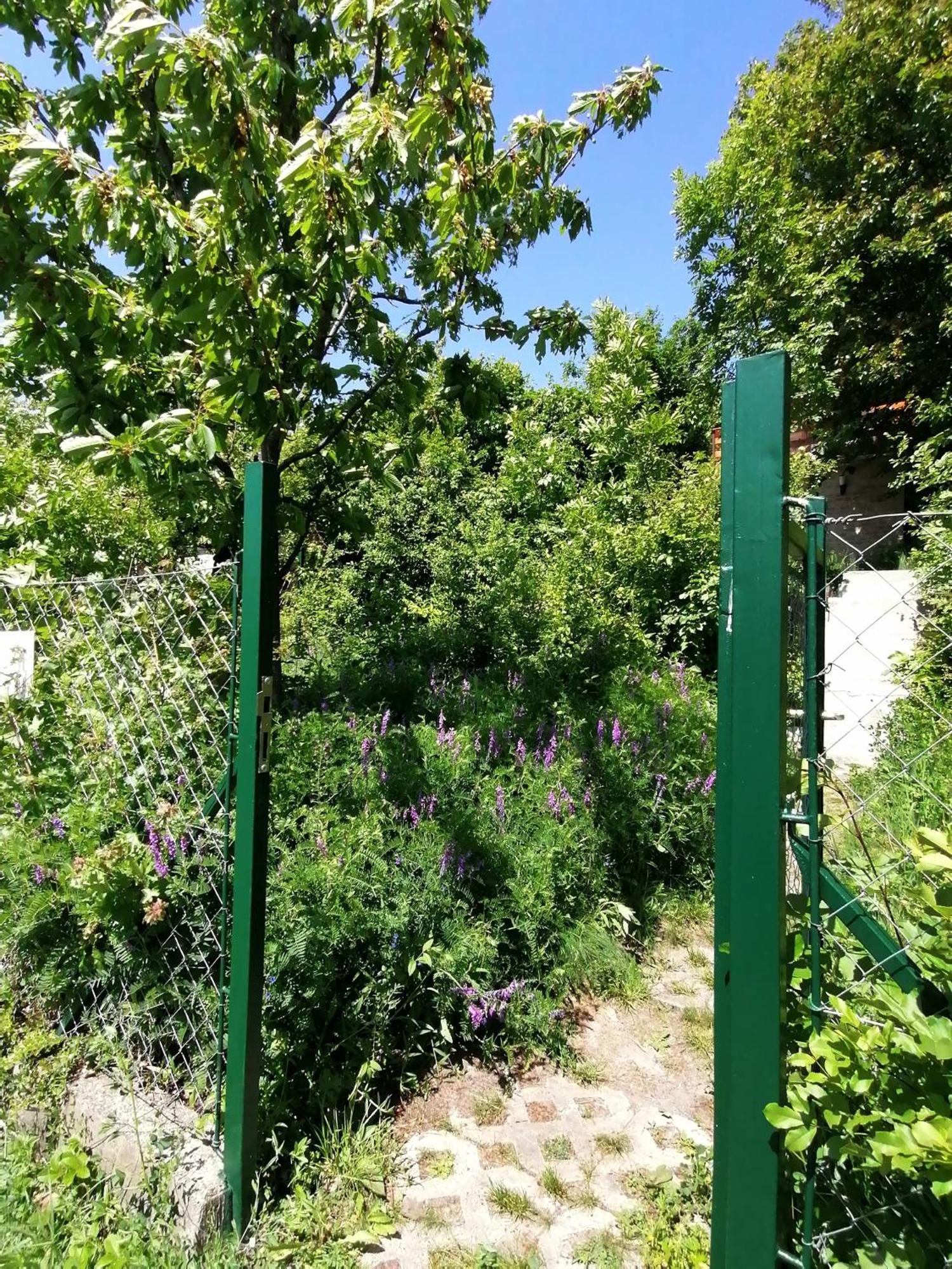 Verőcemaros Barkoca Es Szepkilatas Vendeghaz / Cabin חדר תמונה