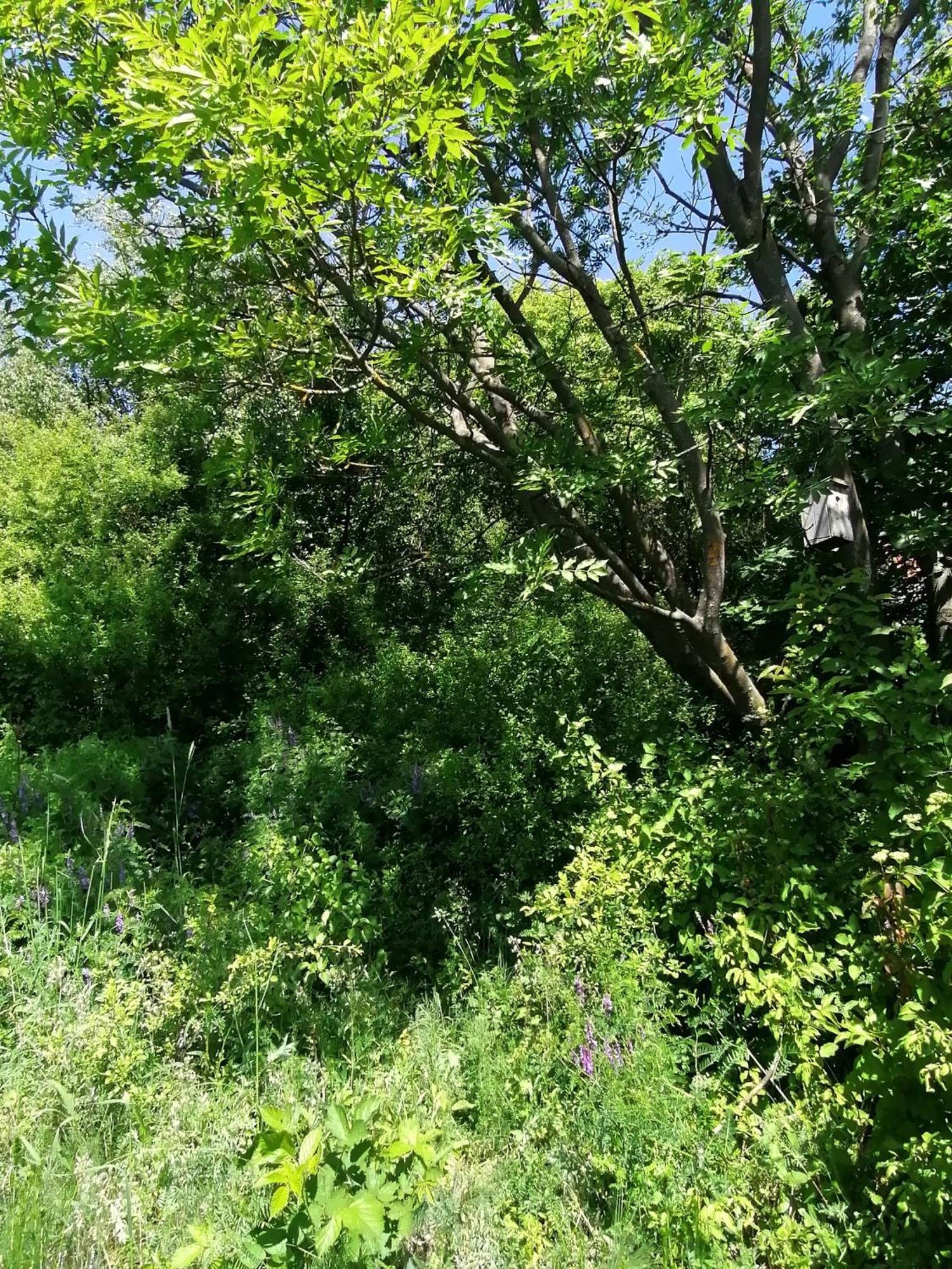Verőcemaros Barkoca Es Szepkilatas Vendeghaz / Cabin חדר תמונה